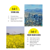 I’m A Backpacker : Korea